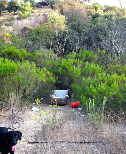 In the Hills