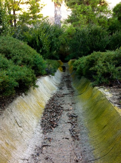 In a Ditch