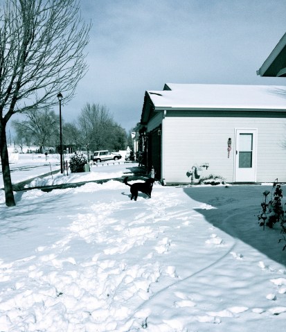 In the Snow