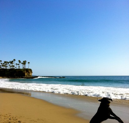 At the Beach!