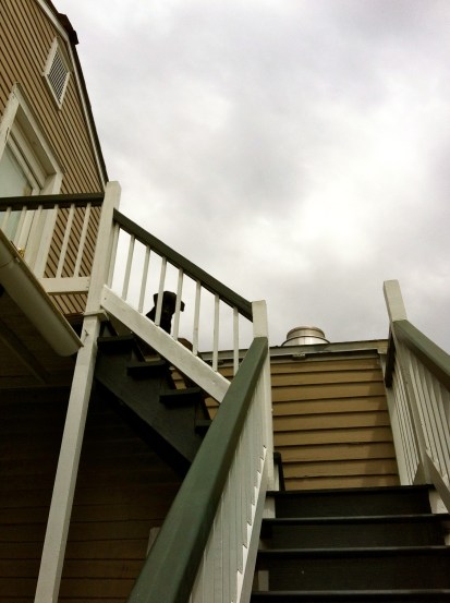On Some Stairs!