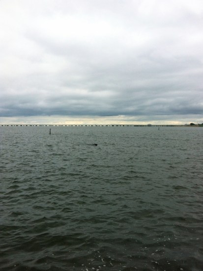 In Lake Ponchartrain