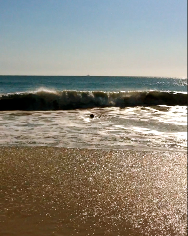In the Ocean