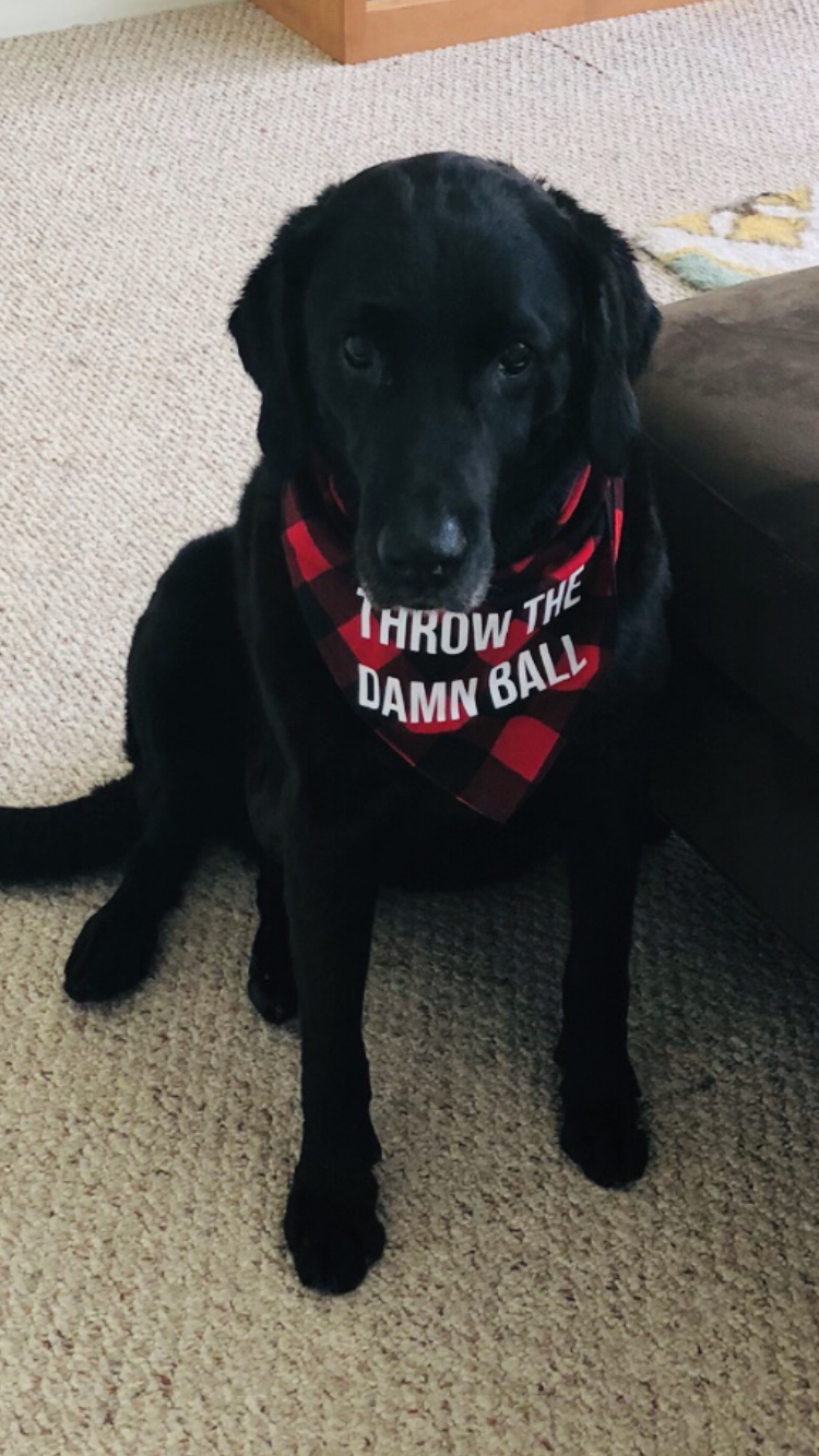 throwtheball