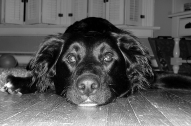 dsc00890 dsc00890