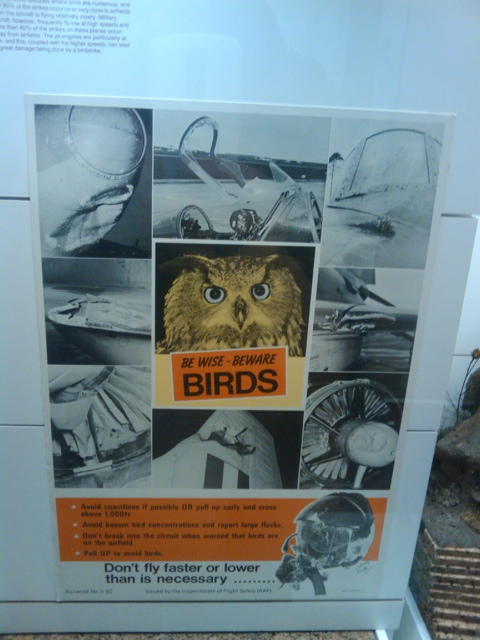 20110721-220639.jpg