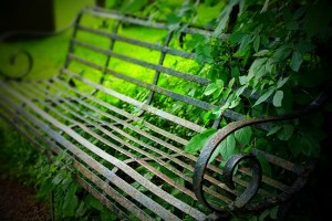 photo_Maureen's_Bench