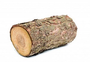 Log