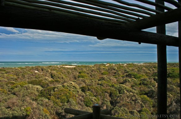 Agulhas-44
