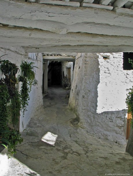 Alpujarras-31