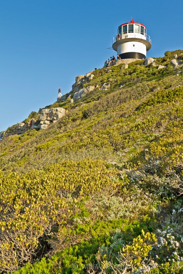 cape-point-22