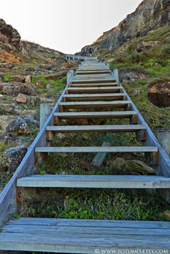 cape-point-29