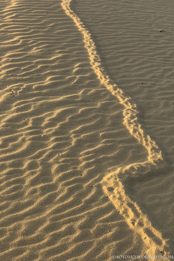 beneath your feet-3