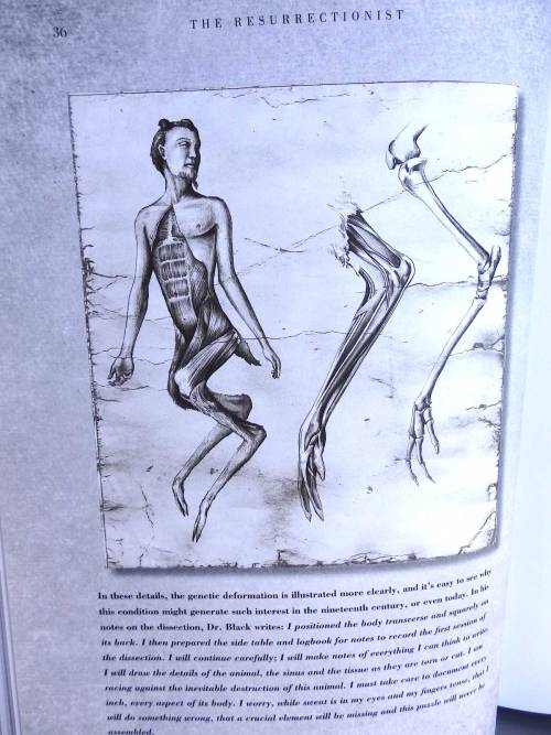 The Resurrectionist: Your favorite mythic creatures laid out on a mortician’s table
The Resurrectionist: The Lost Work of Spencer Black
by E. B. Hudspeth
Quirk Books
2013, 192 pages, 7.8 x 10.8 x 0.8 inches
$16 Buy a copy on Amazon
Imagine all your...