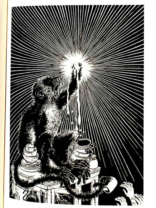 A Wild Swan plucks at familiar fairy tales with a voice that’s sardonic, salacious, or brimming with empathy
A Wild Swan and Other Tales
by Michael Cunningham (author) and Yuko Shimizu (illustrator)
Farrar, Straus and Giroux
2015, 144 pages, 6.4 x...