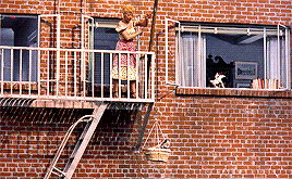 tumblr_pb1ren5Gdp1r51r3ro3_400.gif