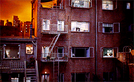 tumblr_pb1ren5Gdp1r51r3ro7_r1_400.gif