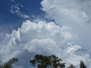 IMG_0044aresd
