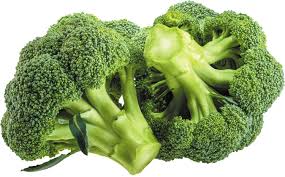 download (11)