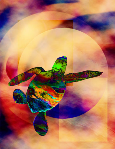 Turtle Medicine