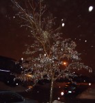 dec 22 550 (2)
