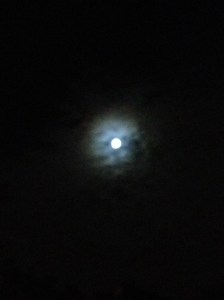 photo-10