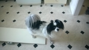 Two on Two off. Tippy board in the house.