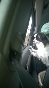 Are we there yet?