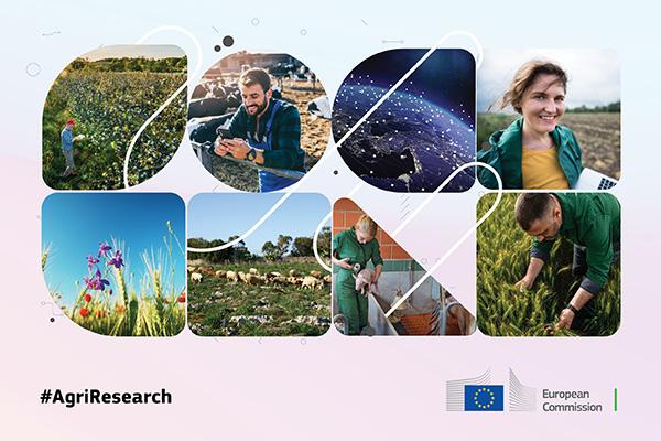 A collage of images of people and animals