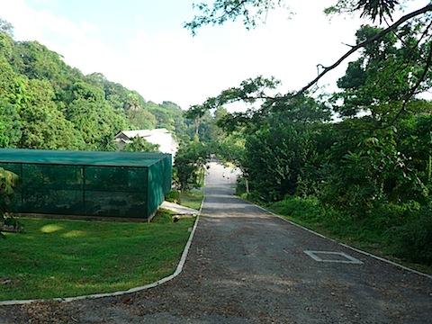 P1060782.JPG
