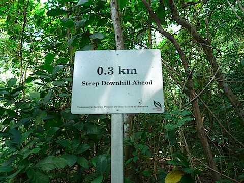 P1060785.JPG