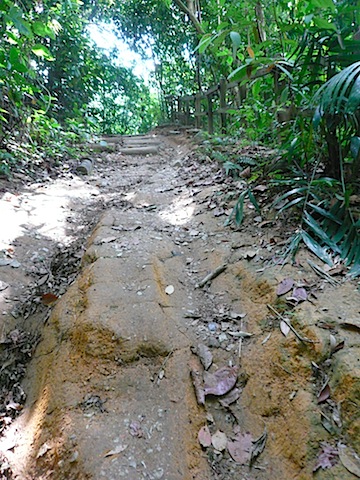 P1060789.JPG