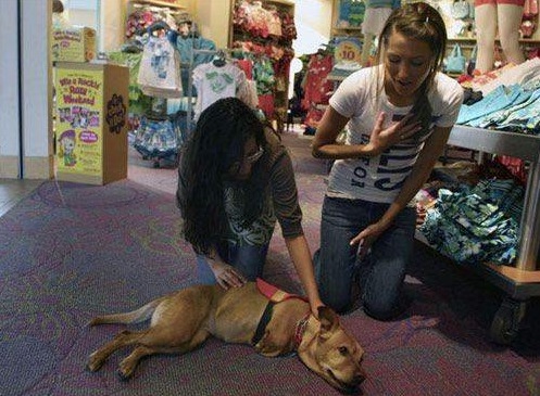 Faith the dog 7