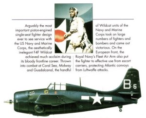 aircraft warrior