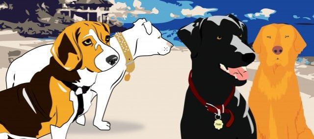 4 dogs
