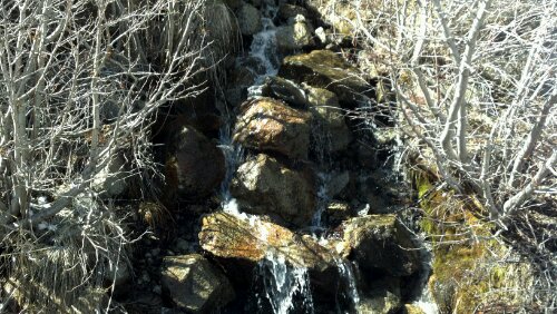 2012-04-04_15-33-14_374.jpg image
