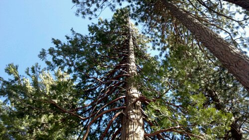 2012-04-04_15-36-39_874.jpg image