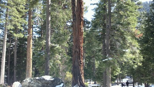 2012-04-04_15-46-24_801.jpg image