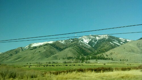 2012-04-05_08-27-59_732.jpg image