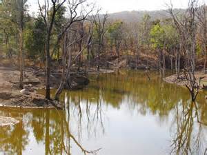 Pench Reserve Forest India (2)
