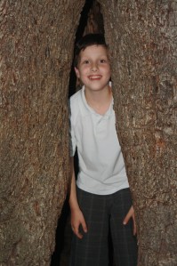 IMG_6118 We like sticking kids in trees!