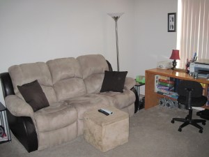 IMG_0484 Part of the living room