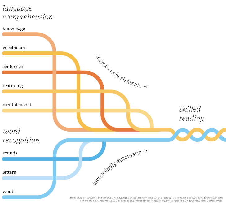 Diagram illustrating the Simple View of Reading model, depicting language comprehension and word recognition pathways converging into skilled reading, with processes becoming increasingly strategic and automatic—a foundational concept in literacy curriculum for elementary education.