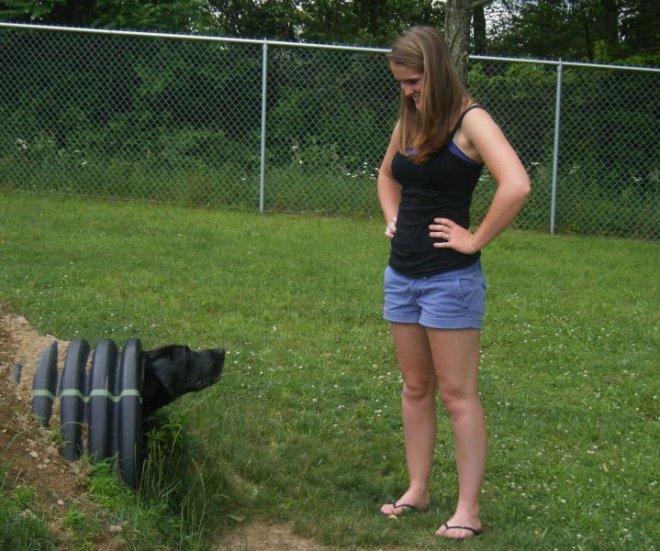 Throughout college, Tonka was a frequenter of dog parks like this one