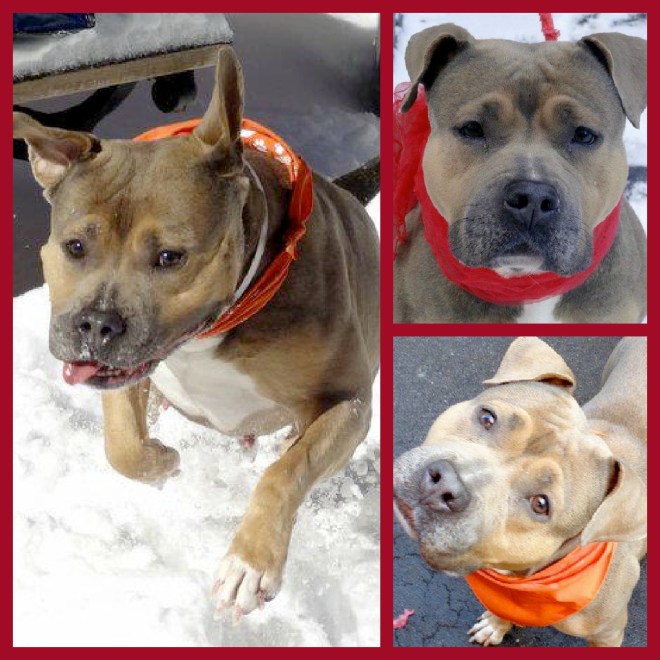 Candice, from NYCACC. New name TBD!