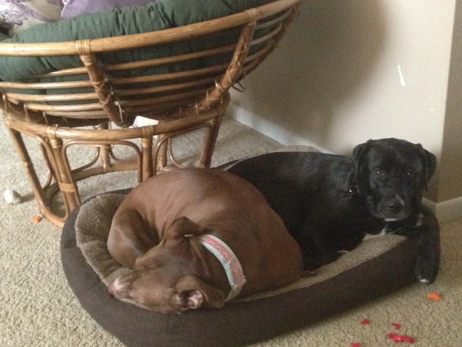 If we fits, we sits... but always together.