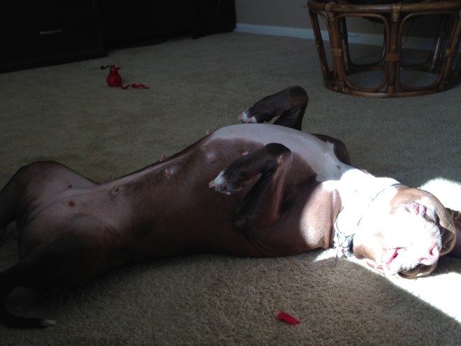She fell asleep in the sunshine