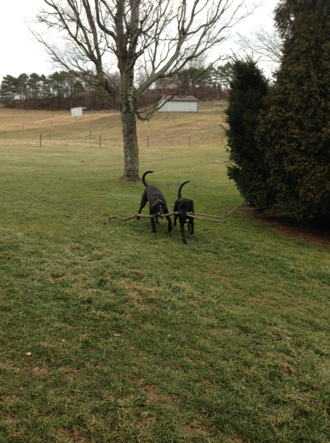 Sharing a stick