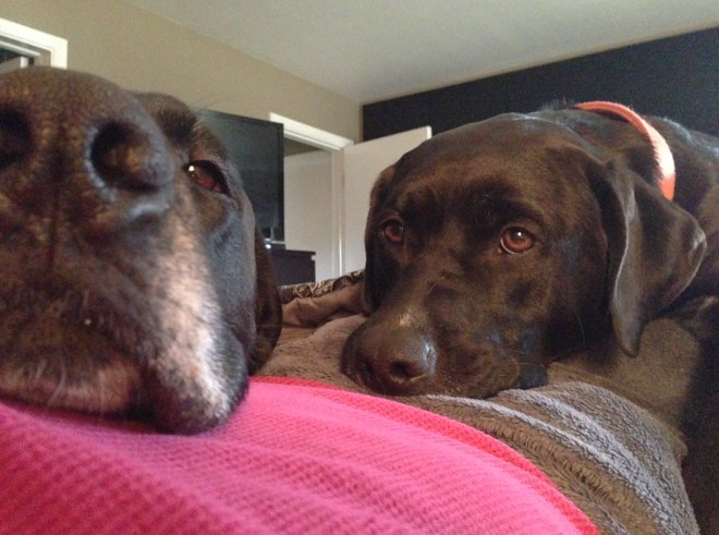 photo-8