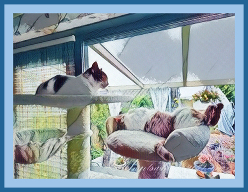 PUZZLE US HERE and ENJOY🐾😽💞